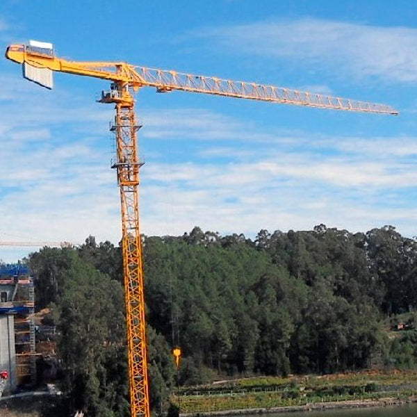 POTAIN MDT 319 12t TOWER CRANE