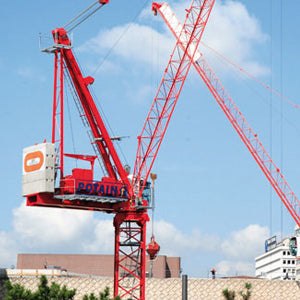 POTAIN MR 225A 14t TOWER CRANE